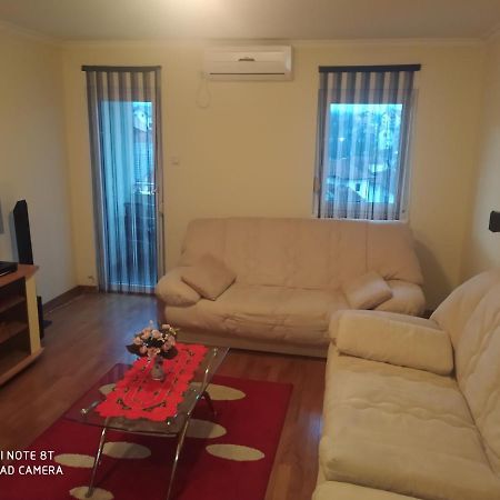 Apartman Arsenijevic Vrnjačka Banja المظهر الخارجي الصورة