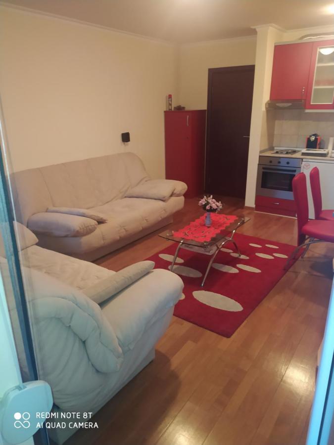 Apartman Arsenijevic Vrnjačka Banja المظهر الخارجي الصورة