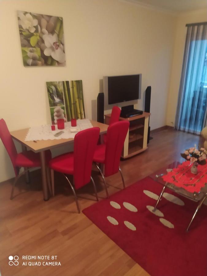 Apartman Arsenijevic Vrnjačka Banja المظهر الخارجي الصورة