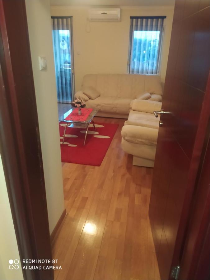 Apartman Arsenijevic Vrnjačka Banja المظهر الخارجي الصورة